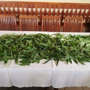 c996c702-97ec-42dd-a731-455088e701da