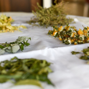 ccaeb23b-da79-4b83-b93e-31b31ac39850